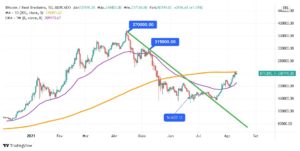 Gráfico BTC/BRL com a LTB, EMA8 e a (MM200 - 1D) traçadas