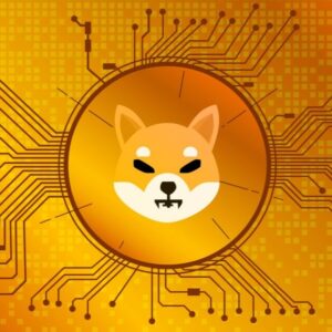 Shiba Inu: новы прыватны блокчэйн прыцягнуў 12 мільёнаў долараў